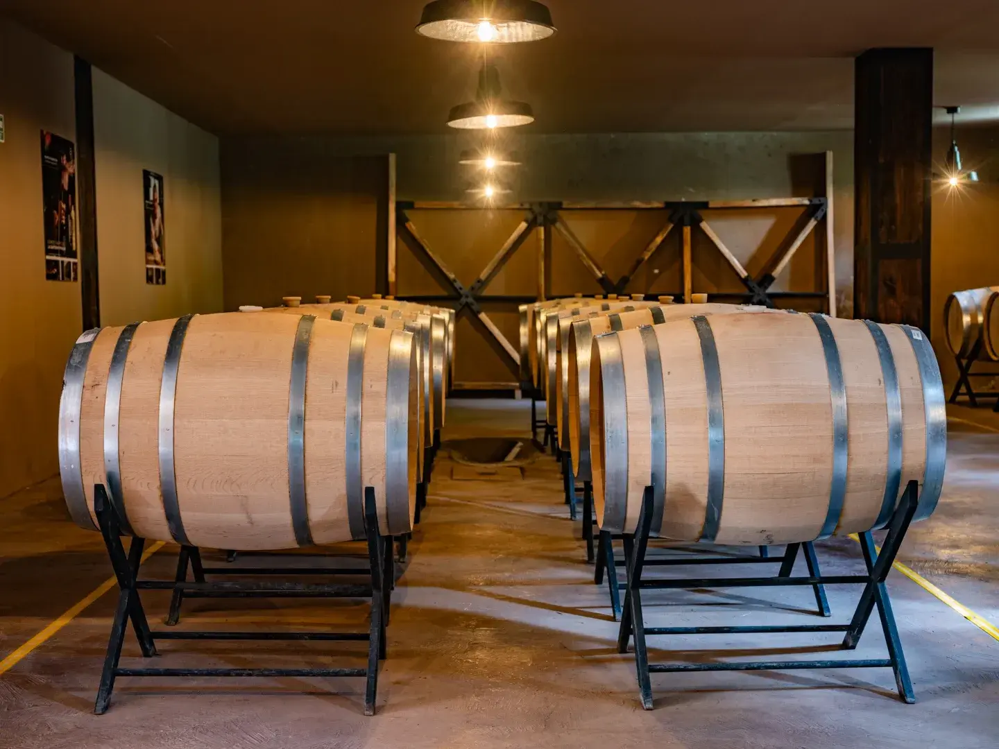Vinicula_interior_La_Santisima_Trinidad_15ef1bd894